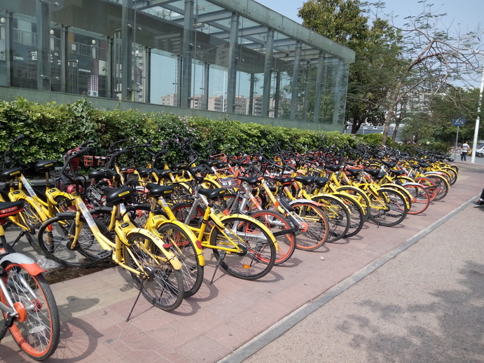 深圳の至る所にシェアバイクがある